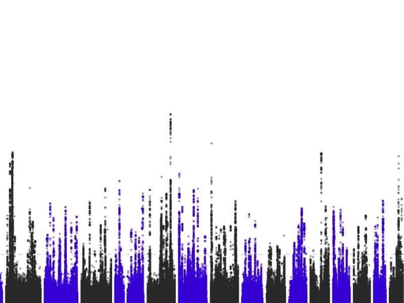A screenshot of a PheWeb browser showing statistical genetic results.