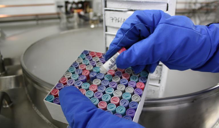 Biobank sample tubes