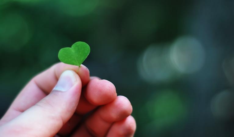 A human holding a green leaf, with a shape of a heart,