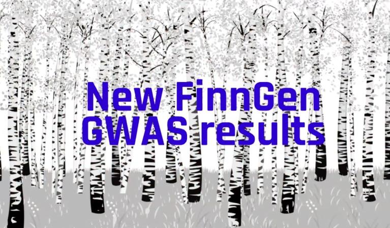 Birches with the text "New FinnGen GWAS results".