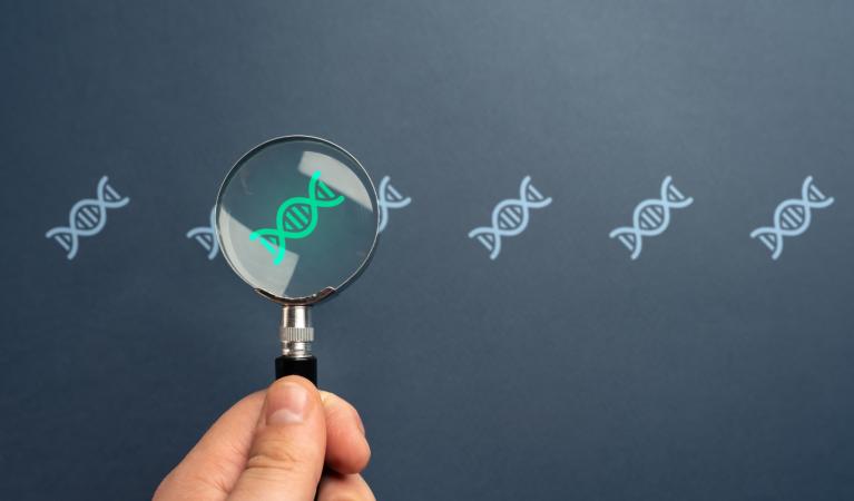 DNA-ikoner på en grå bakgrund, varav en ses genom ett förstoringsglas.