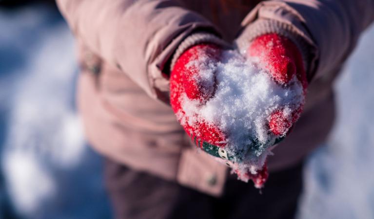 Punaisiin lapasiin puetut kädet pitelevät lunta.