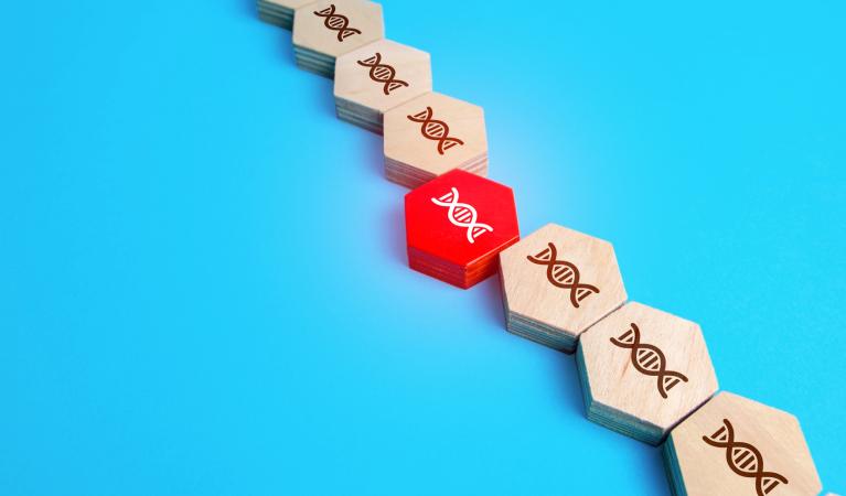 Rivi puupalikoita, joissa on DNA-kaksoiskierteen kuvia. Yksi palikka keskellä on punainen ja erottuu muista.