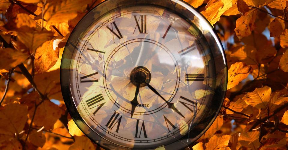 An old-fashioned watch with autumn leaves in the background. 