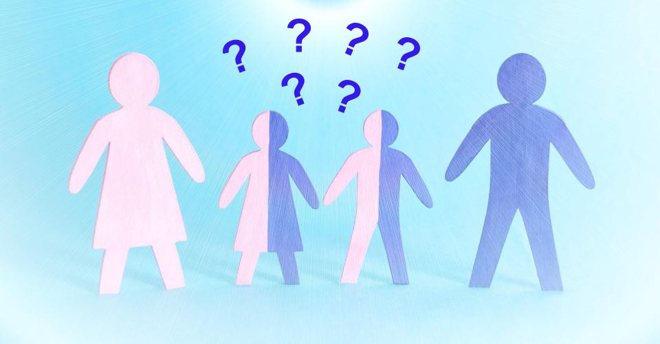 A drawing of a family with two children, showing the classical inheritance model, with question marks on top.