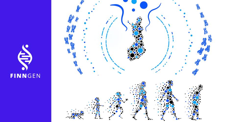 A map of Finland with chromosomes surrounding it, and human figures representing all stages of human lifespan.