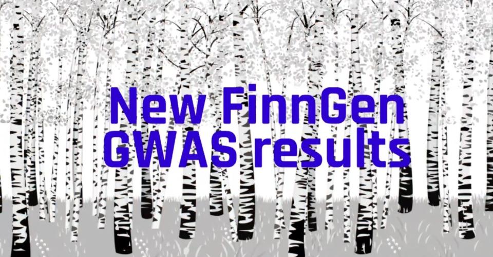 Birches with the text "New FinnGen GWAS results".
