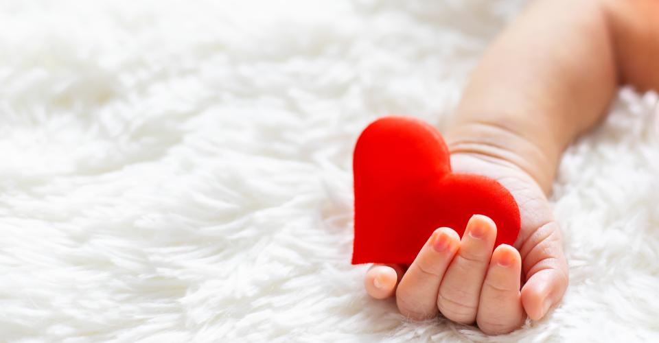 A baby's hand holding a decorative red heart.