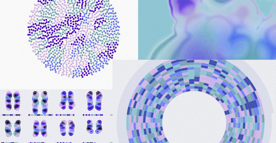 Screenshots from the scrollytelling website.