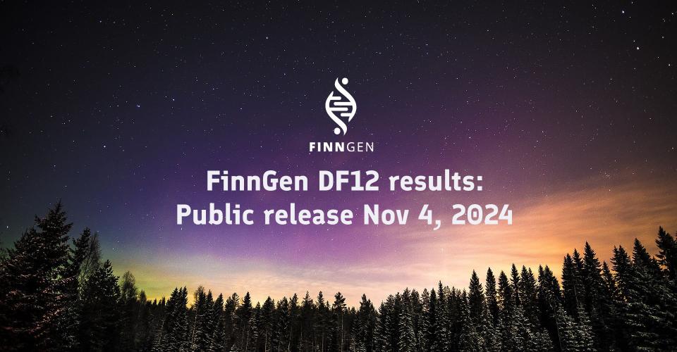 Northern lights in a winter forest landscape with a text: "FinnGen DF12 results: Public release Nov 4, 2024"