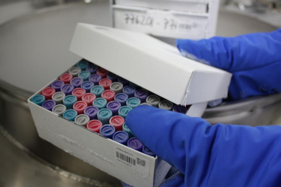 Biopankkinäytteitä