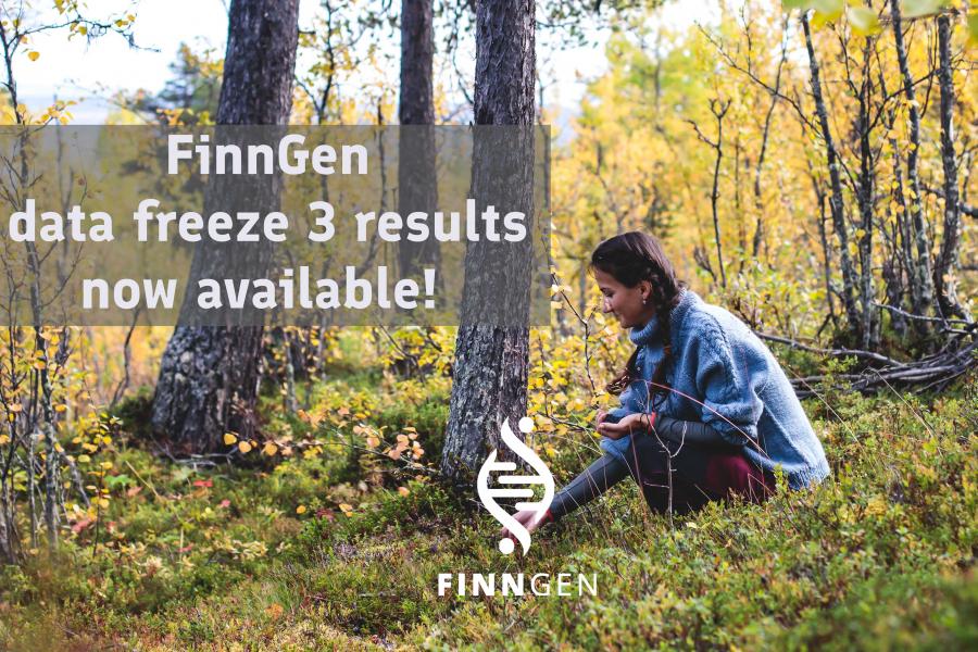 Kvinna plockar bär i en finsk skog.