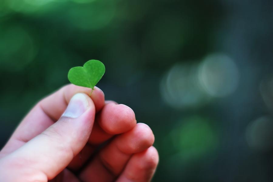 A human holding a green leaf, with a shape of a heart,