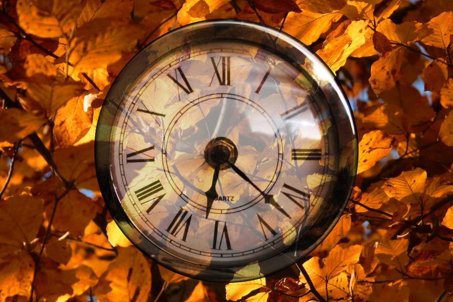 An old-fashioned watch with autumn leaves in the background. 