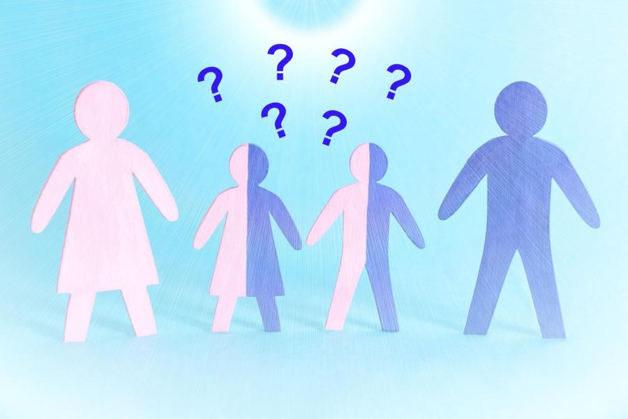 A drawing of a family with two children, showing the classical inheritance model, with question marks on top.