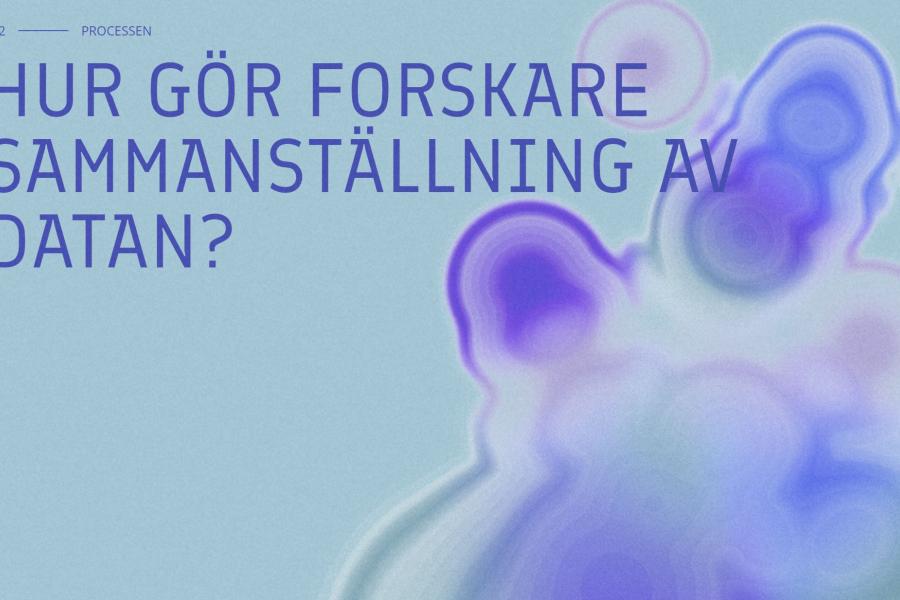 Screenshot från webbsidan med texten: Hur tolkar forskare data?