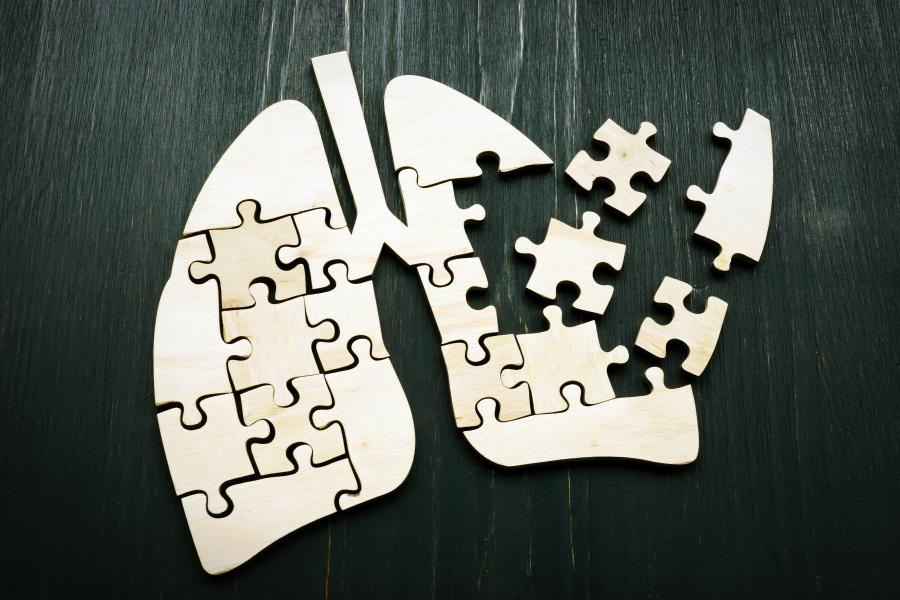 Lungs made of puzzle pieces, with some pieces missing.