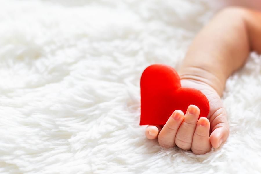 A baby's hand holding a decorative red heart.