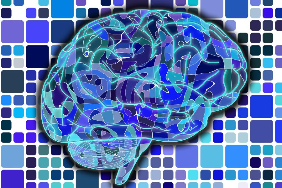 Abstract illustration of human brain in different shades of blue.