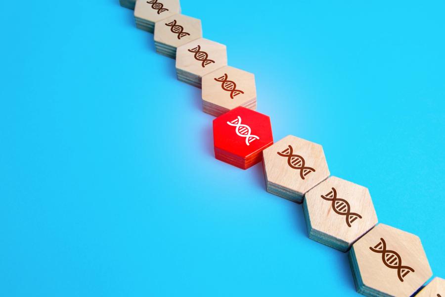 a row of wooden blocks engraved with DNA double helix patterns. One block in the middle is red and stands out from the others.