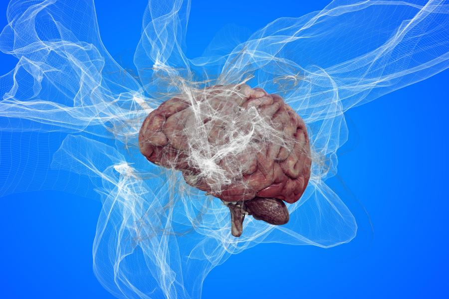 Human brain with abstract neural network lines on a blue background.